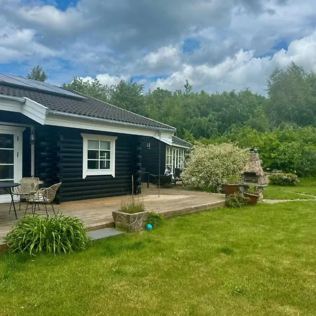 Log With Activity Near