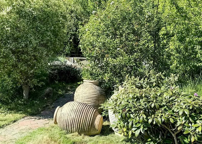 Log With Activity Near Gudmindrup Højby